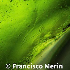 inclusión Colgante Moldavita piedra auténtica tamaño pequeño colgante-MP3A