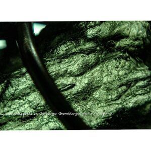 Moldavita moldavite piedra auténtica especial con reportaje microscopico foto