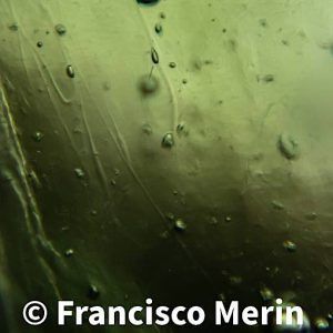 Fotografía microscopica Moldavita piedra auténtica natural MP8A-1