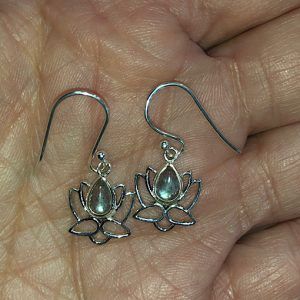 Labradorita especial pendientes plata