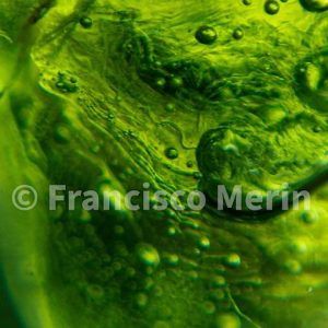 Moldavita piedra auténtica colgante de acero plata MJCAP2B-1 joya personalizada artesanal