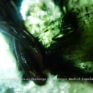 Moldavita moldavite autentica en bruto natural ref.mmaespecial con video certificado 4