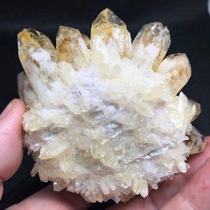 Drusa corona cuarzo citrino