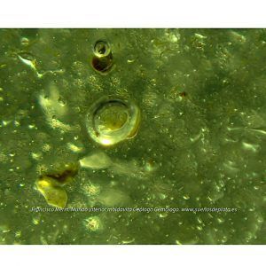 Vidrio del desierto Libio " Libian Glass " ref. especial4-2