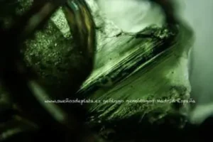 Moldavita autentica burbujas internas alargadas alineadas con la estructura de flujo vitreo observadas al microscópio
