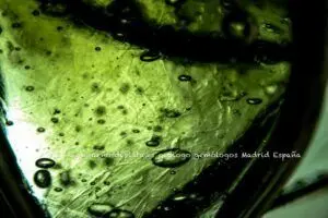 moldavita autentica burbujas internas lechatelieritas microscopio